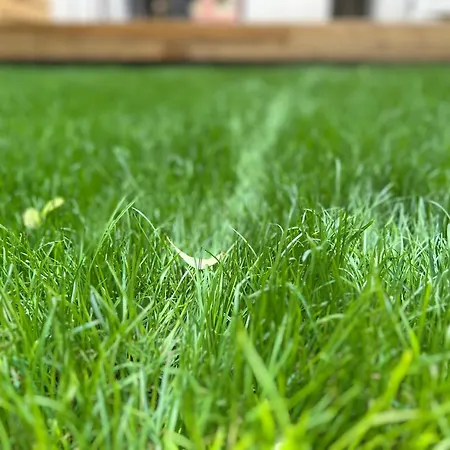 Duplex 3 - Jardin - Terrasse - Parking Au Pied Du Duplex *