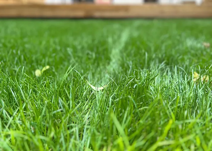 Duplex 3 - Jardin - Terrasse - Parking Au Pied Du Duplex *